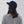 Atomic Critter Logo Snapback Hat - Atomic Critter Clothing