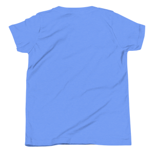 Heather Columbia Blue youth t-shirt from the back, plain